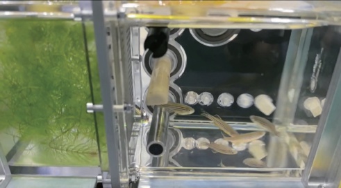 探秘中国空间站：那些有趣的科学实验