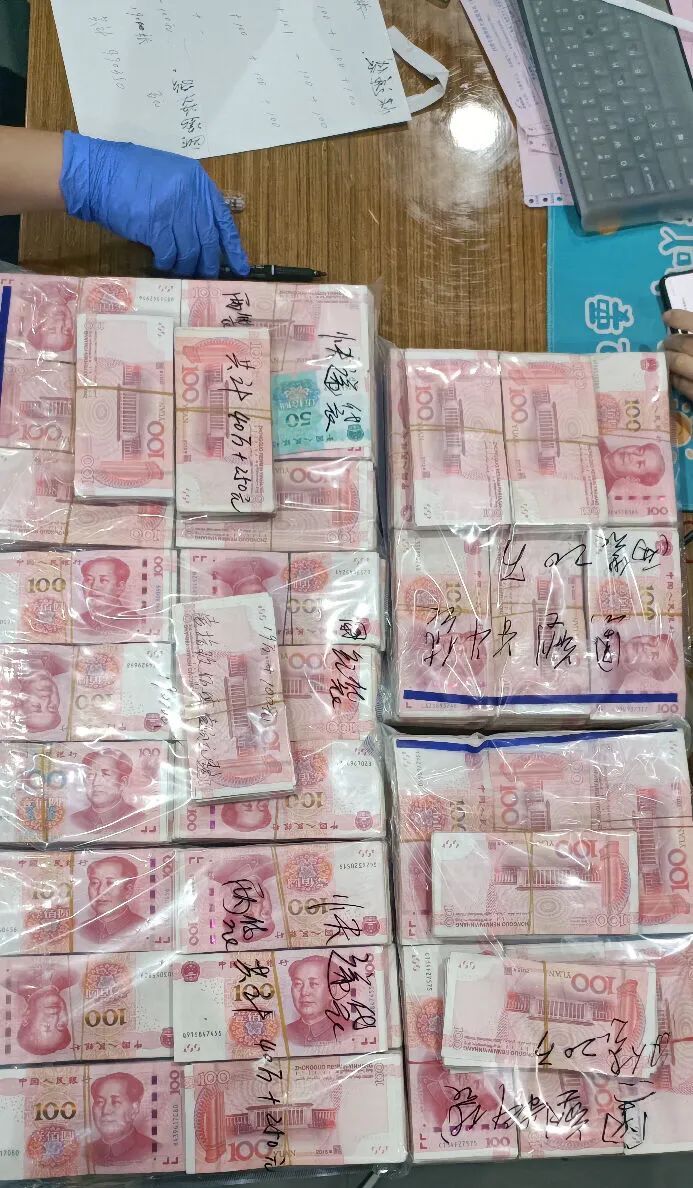 以救助流浪猫作掩护，“爱心人士”竟是毒枭！