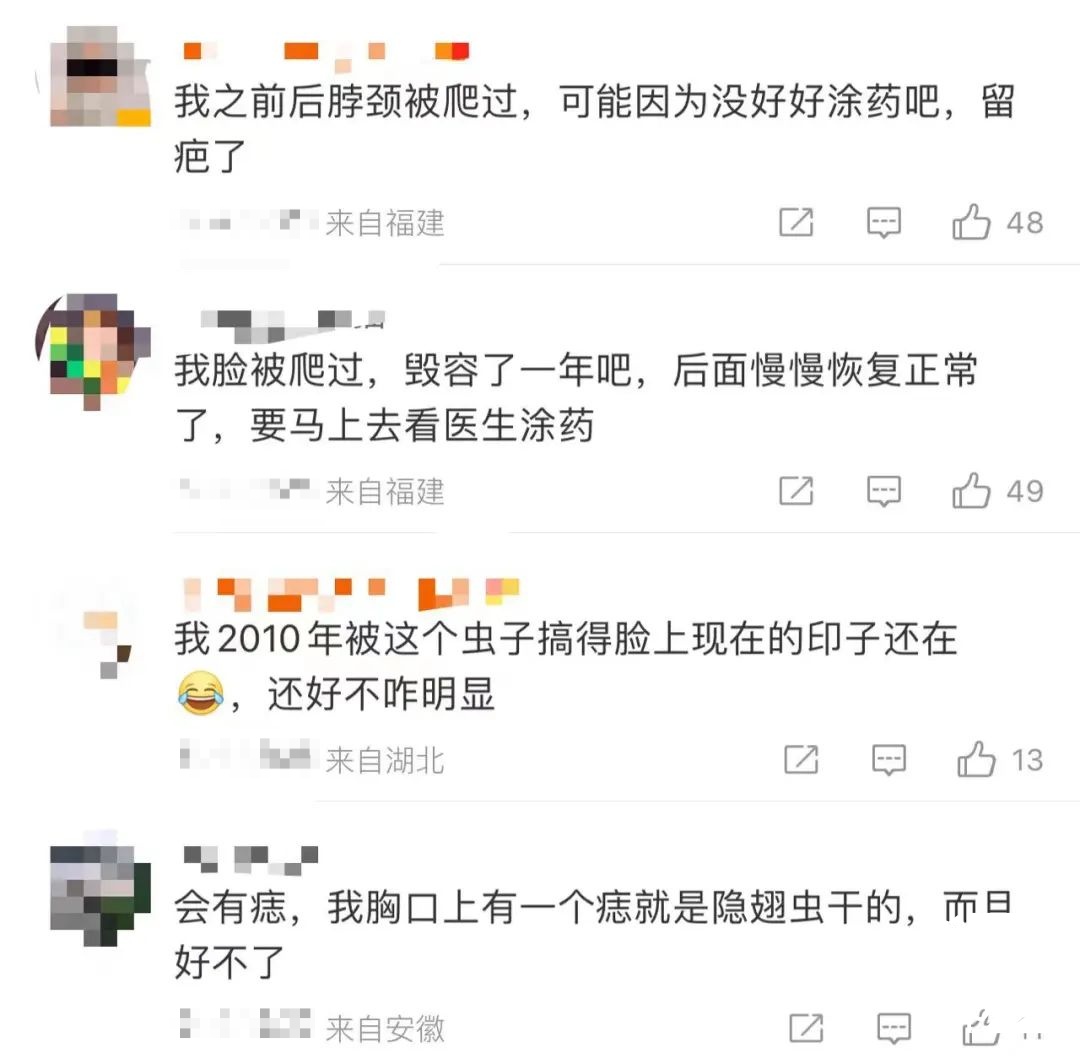 毒液堪比硫酸！已有人“中招”，千万不要拍打