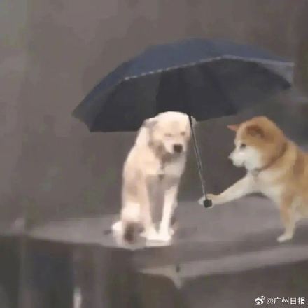 记得带伞!广州周五上班有暴雨! 记得带伞!广州周五上班有暴雨!