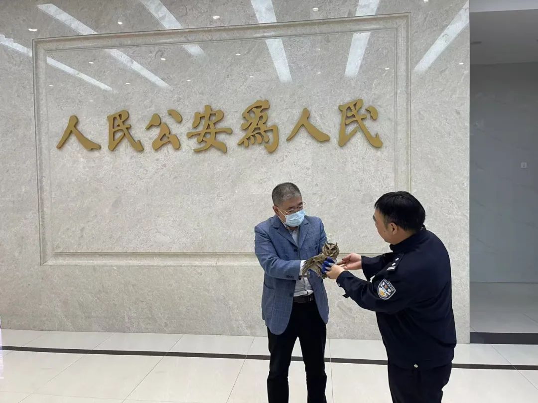看得出来，双方都很紧张......祝“大眼萌仔”早日康复！