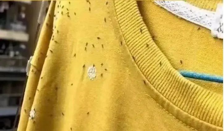 紧急提醒!近期请少穿这种衣服出门! 紧急提醒!近期请少穿这种衣服出门!