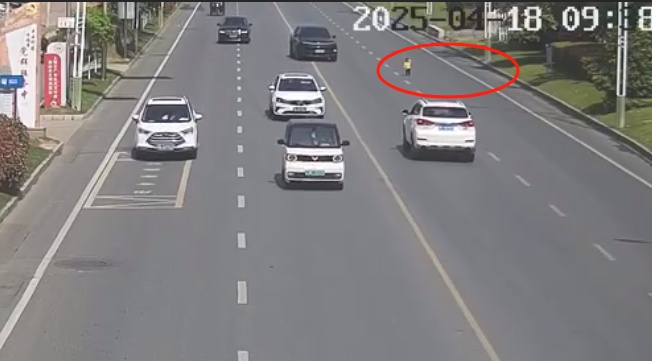 事发江西！女司机逆行猛踩刹车，网友却集体叫好！