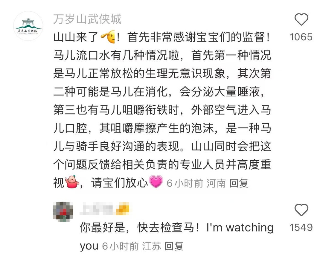 马儿“累到口吐白沫”？景区回应