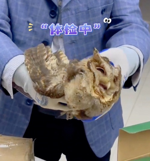 看得出来，双方都很紧张......祝“大眼萌仔”早日康复！