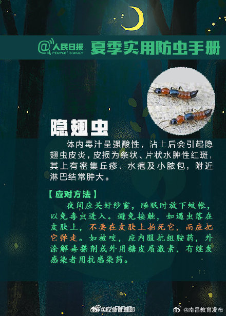 转发提醒！遇到“夺命虫”这样处理