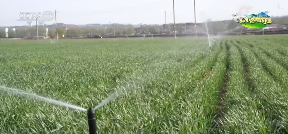种子穿上“防护服”、土地“喝水恰到好” “智慧”春耕显身手夯实丰收基础