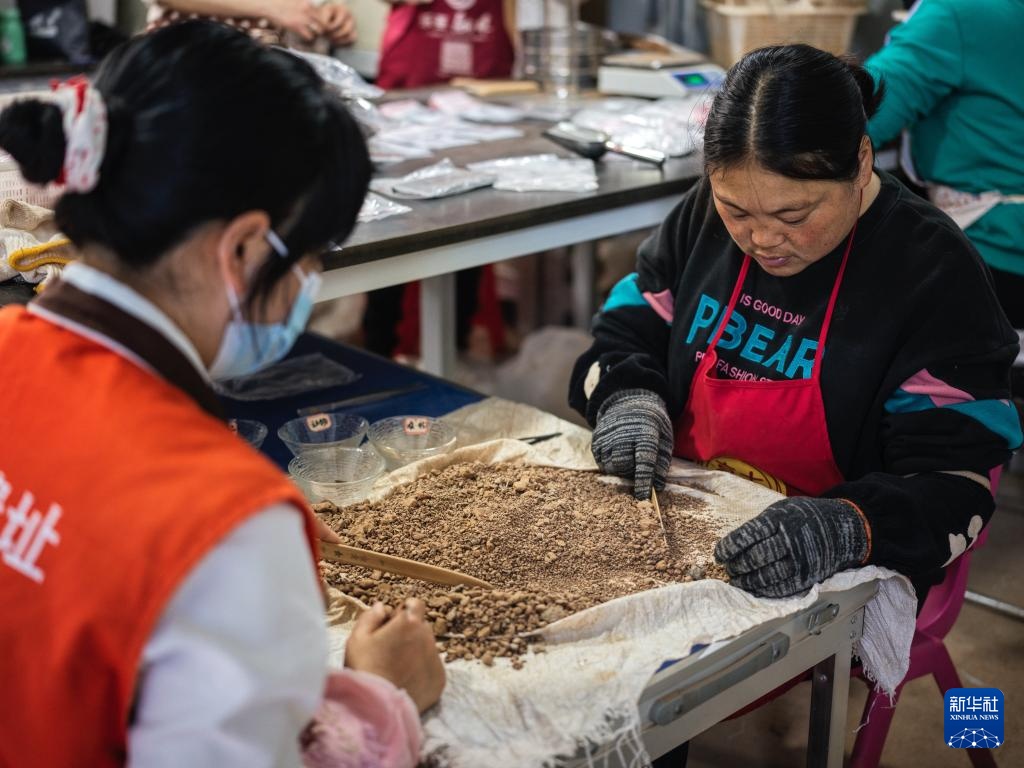 走近四川资阳濛溪河遗址群 走近四川资阳濛溪河遗址群