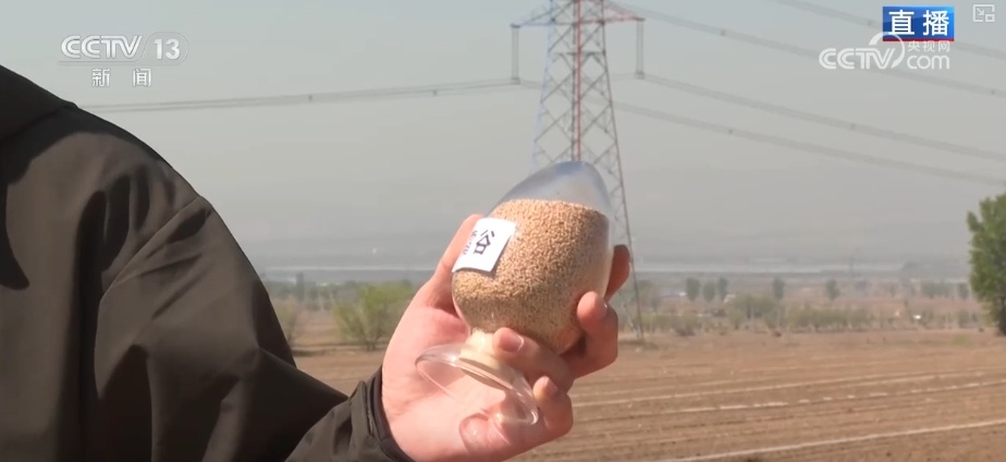 种子穿上“防护服”、土地“喝水恰到好” “智慧”春耕显身手夯实丰收基础