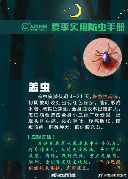 转发提醒！遇到“夺命虫”这样处理