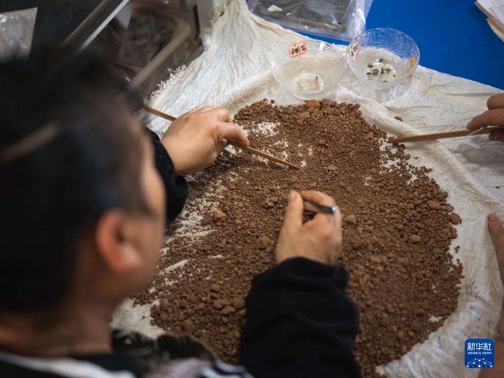 走近四川资阳濛溪河遗址群 走近四川资阳濛溪河遗址群