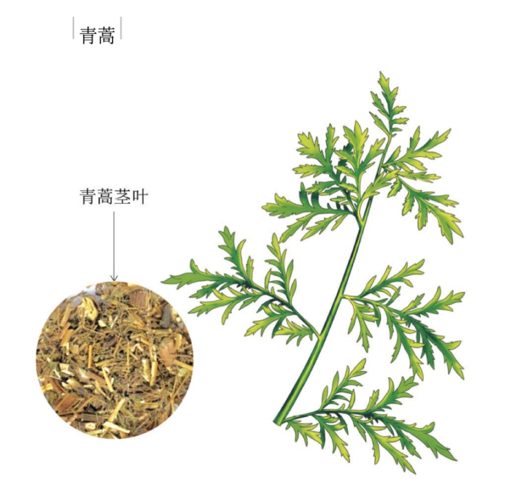 从3000万到0！今天，向屠呦呦致敬！