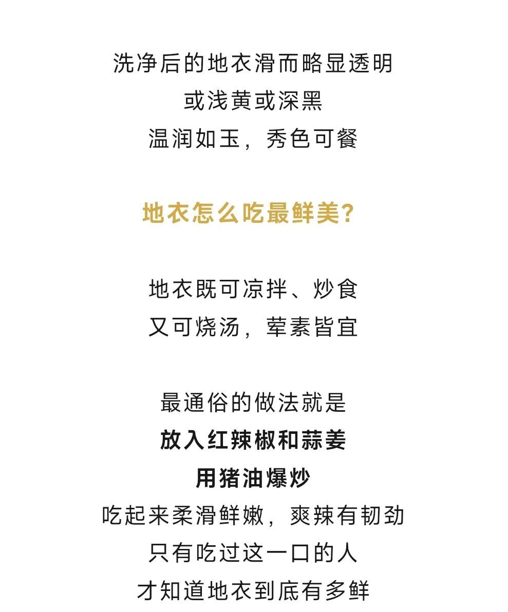 雨后大量出现,出门就能捡!很多杭州人爱吃!提醒来了 雨后大量出现,出门就能捡!很多杭州人爱吃!提醒来了