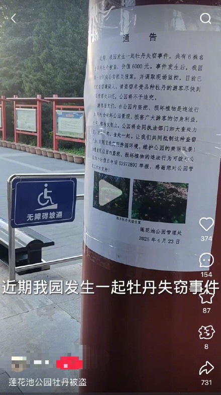 公园回应价值6000元名贵牡丹被盗
