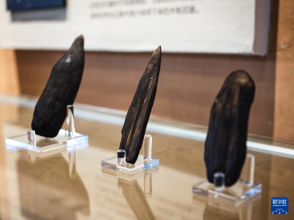 走近四川资阳濛溪河遗址群 走近四川资阳濛溪河遗址群