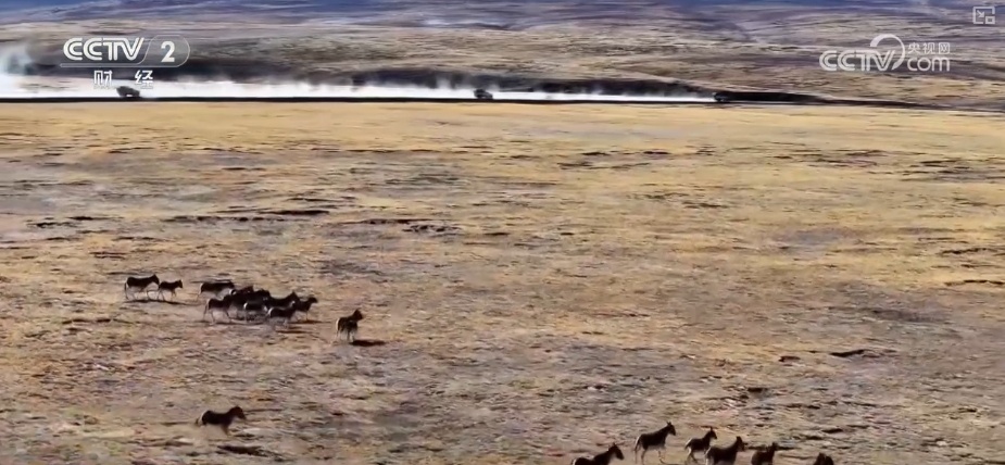 满电出发！便携式储能产品凭实力“出海” 为可持续发展贡献中国方案