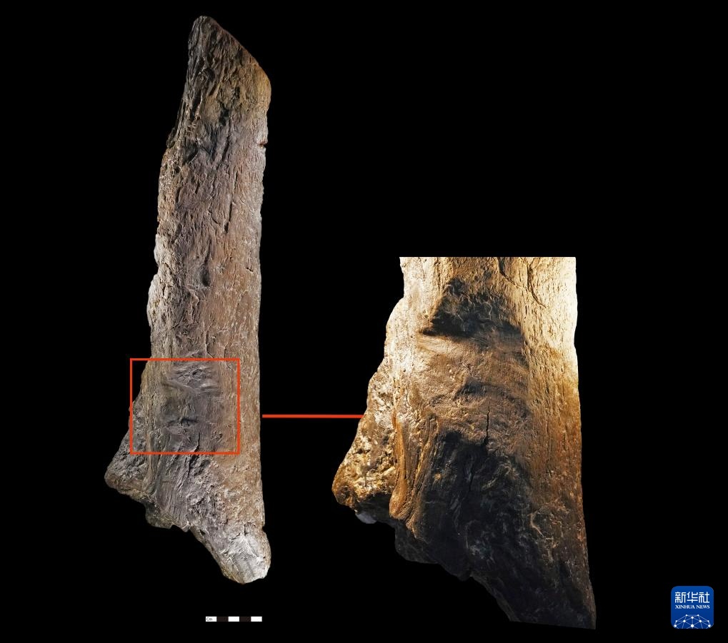 走近四川资阳濛溪河遗址群 走近四川资阳濛溪河遗址群