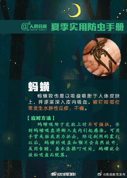 转发提醒！遇到“夺命虫”这样处理