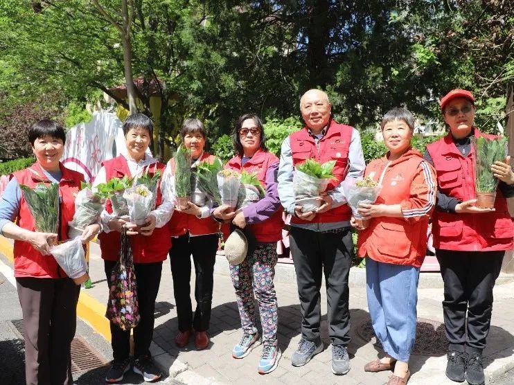 看“小新安”志愿之花在四月天绚丽绽放