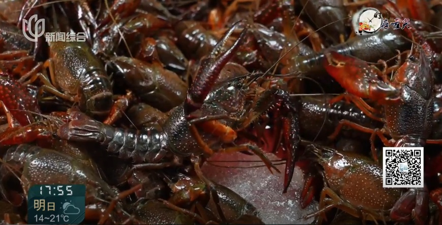 身价大跌!还将走低!上海人早就盯牢了,这些部位最好不要碰→ 身价大跌!还将走低!上海人早就盯牢了,这些部位最好不要碰→