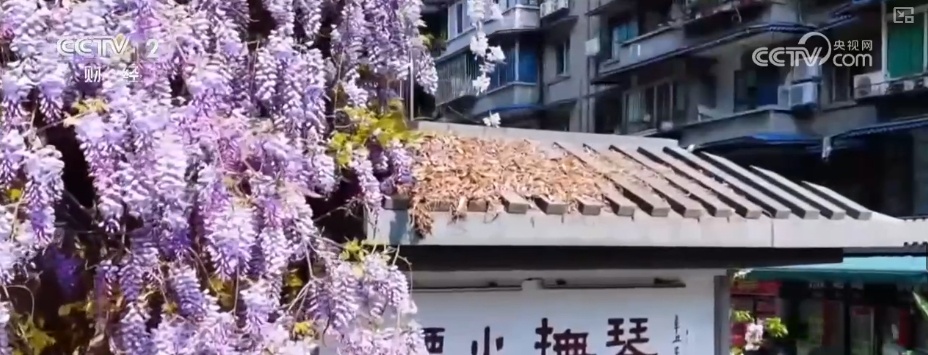 零碎空间“蝶变”品质生活“金角银边” “更”新生活释放经济多元活力