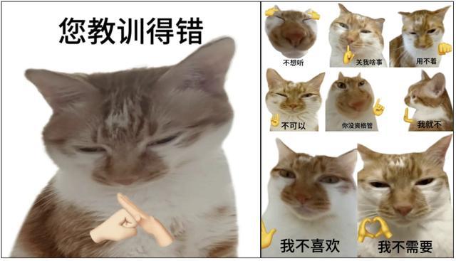 有一种生命张力，叫“讨坏型人格”