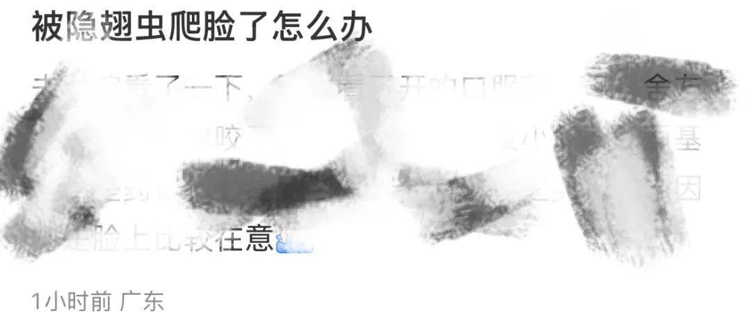 毒液堪比硫酸！已有人“中招”，千万不要拍打