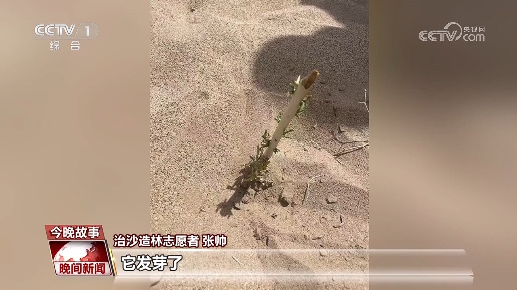 “请到民勤种棵树” 各地志愿者汇集于此 共赴一场春天的约定 “请到民勤种棵树” 各地志愿者汇集于此 共赴一场春天的约定