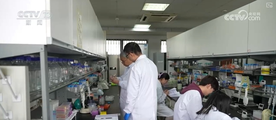 “一把抓”→“测基因”,跨越!数智化赋能让传统中医药产业大不用 “一把抓”→“测基因”,跨越!数智化赋能让传统中医药产业大不用