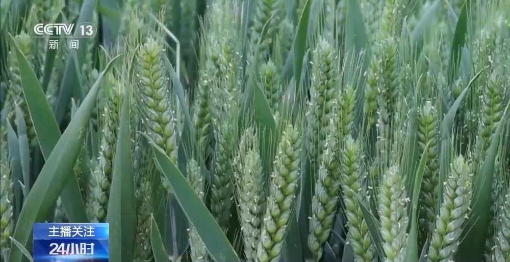 春意浓，农事兴 多地春耕春播有序进行中