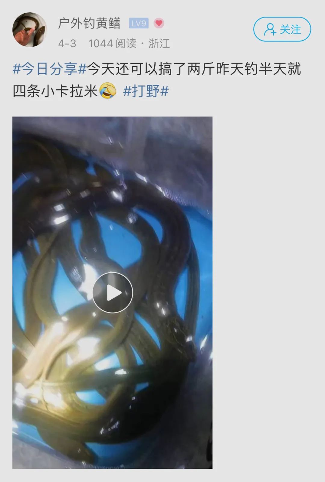 一斤能卖到上百元？杭州不少人下了班就去抓，最近好火