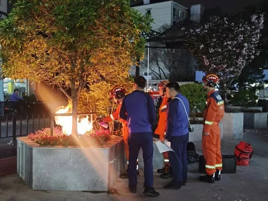 上海街头惊现数百只蜜蜂盘旋！聚集成巨大“定时炸弹”...启动应急预案→