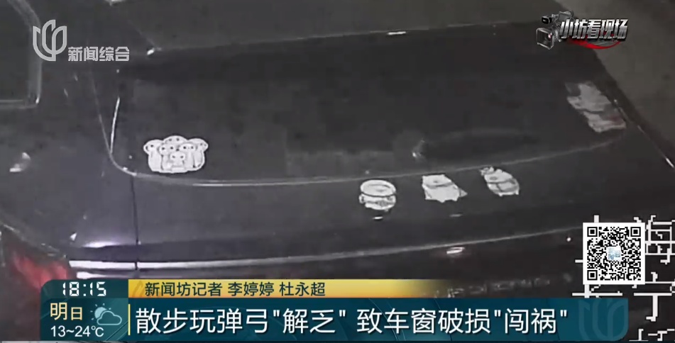 上海一小区居民报警: 深夜车遭袭击！竟只是为了解乏