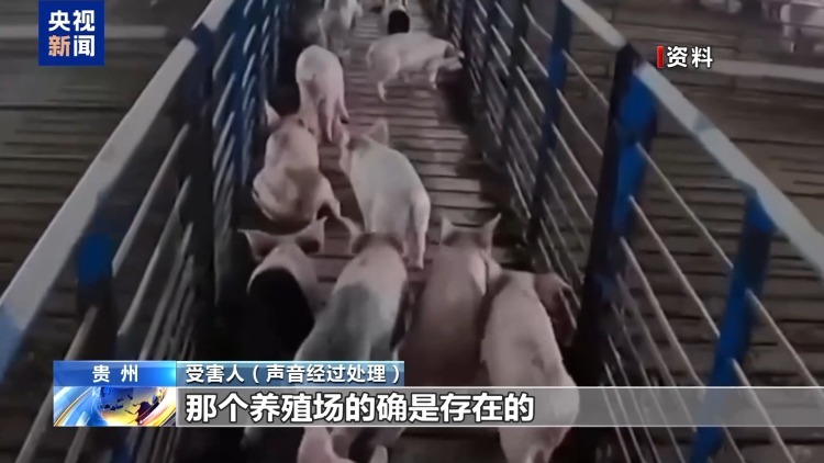 假养猪 真骗局 警惕披着“云养经济”外衣的非法集资 假养猪 真骗局 警惕披着“云养经济”外衣的非法集资