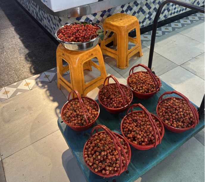 40元/斤!浙江人爱吃的美味,刚刚上市!今年大幅减产,价格还要变! 40元/斤!浙江人爱吃的美味,刚刚上市!今年大幅减产,价格还要变!