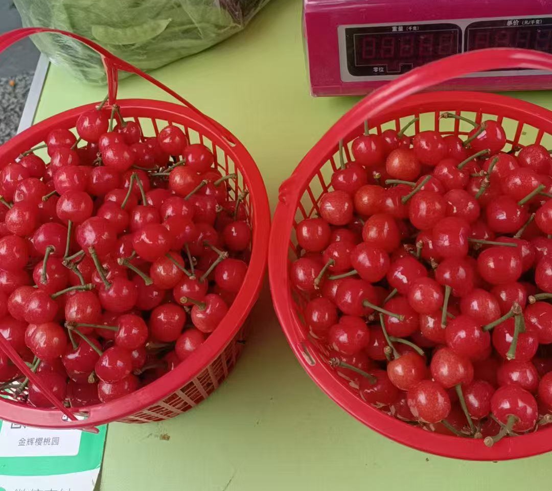 40元/斤!浙江人爱吃的美味,刚刚上市!今年大幅减产,价格还要变! 40元/斤!浙江人爱吃的美味,刚刚上市!今年大幅减产,价格还要变!