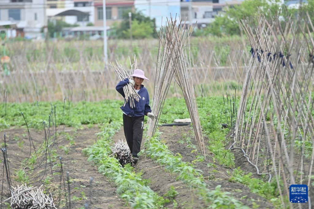 广西柳州：雨水渐多春耕忙