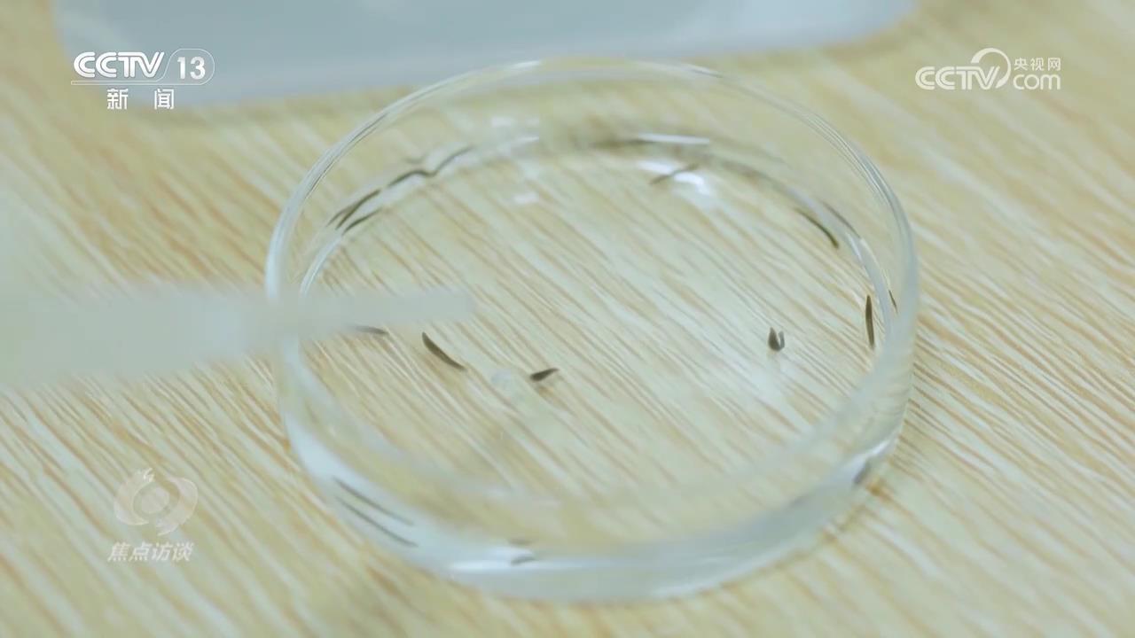 “天宫”又来新人了！这次有啥不一样？