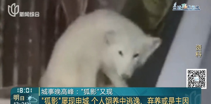 凌晨确认死亡！前一天在上海小区出现，居民胆战心惊，专家紧急提醒