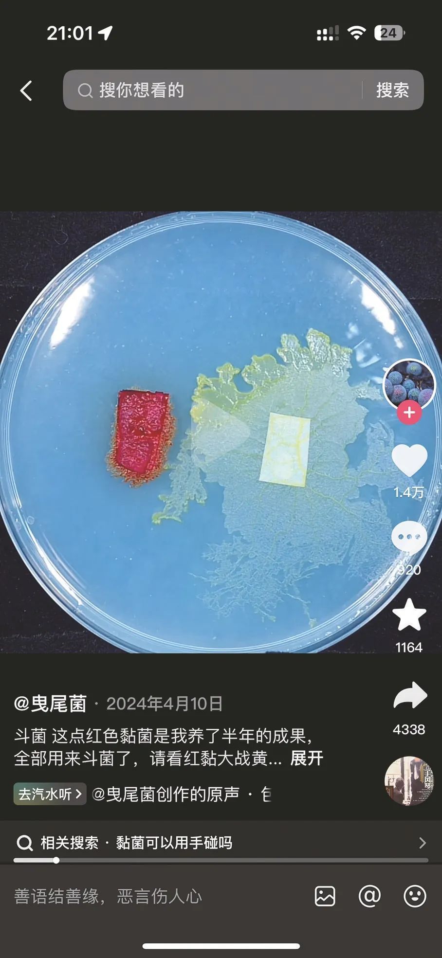 万物皆可宠！ “面蛊”是啥