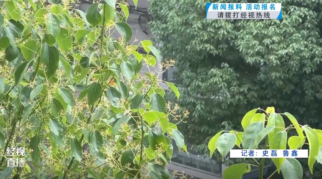 武汉小区现“杀虫剂”味道 ?真相是…… 武汉小区现“杀虫剂”味道 ?真相是……