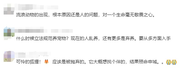 凌晨确认死亡！前一天在上海小区出现，居民胆战心惊，专家紧急提醒