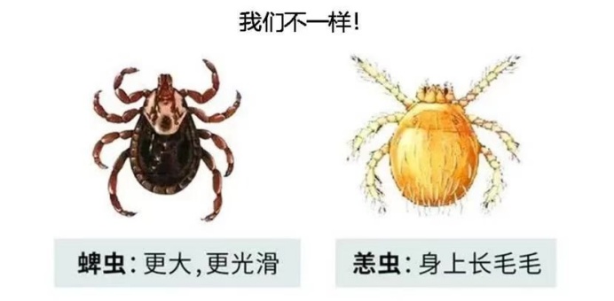 一次踏青，女子差点送命！身上一颗黑痂暴露病因！医生：五一出游高度警惕