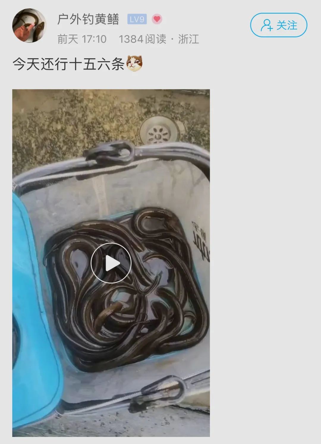 一斤能卖到上百元？杭州不少人下了班就去抓，最近好火