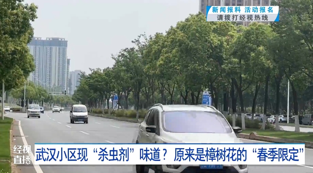 武汉小区现“杀虫剂”味道 ?真相是…… 武汉小区现“杀虫剂”味道 ?真相是……
