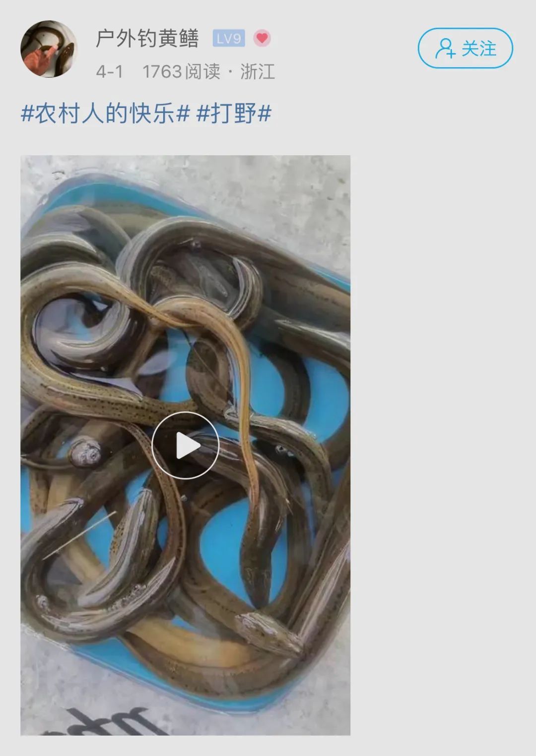 一斤能卖到上百元？杭州不少人下了班就去抓，最近好火