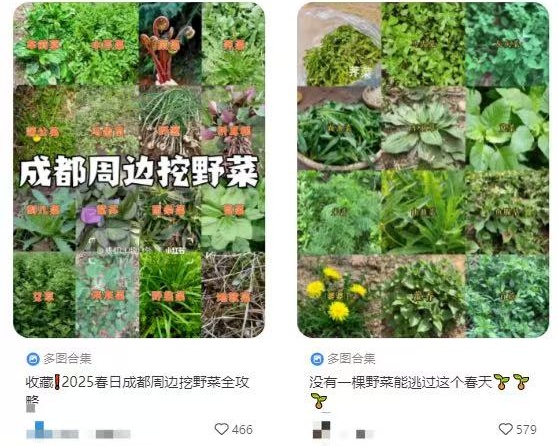 这些菜,焯一下水就可以“解毒”! 这些菜,焯一下水就可以“解毒”!