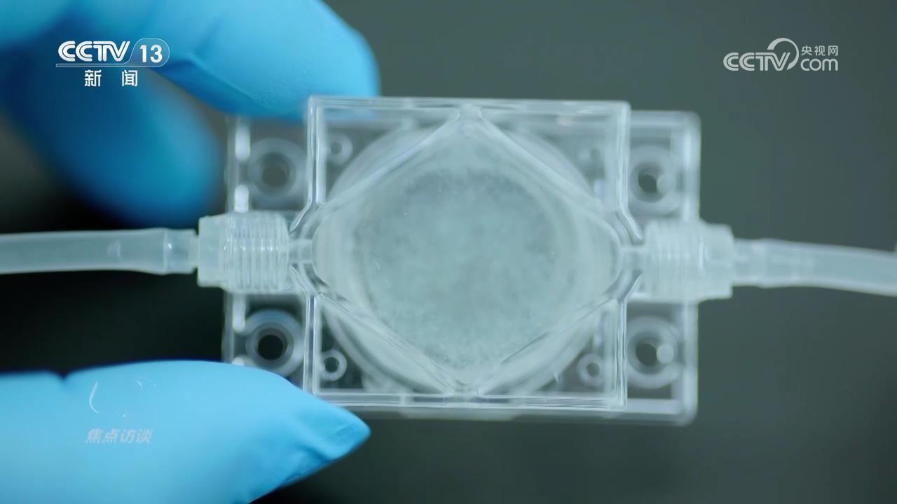 “天宫”又来新人了！这次有啥不一样？