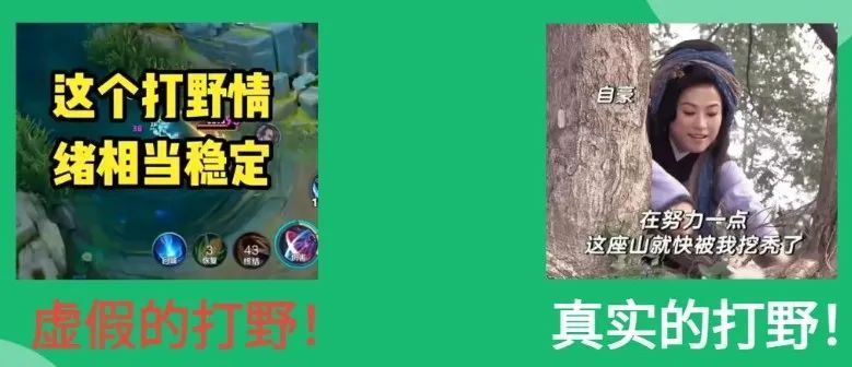 这些菜,焯一下水就可以“解毒”! 这些菜,焯一下水就可以“解毒”!