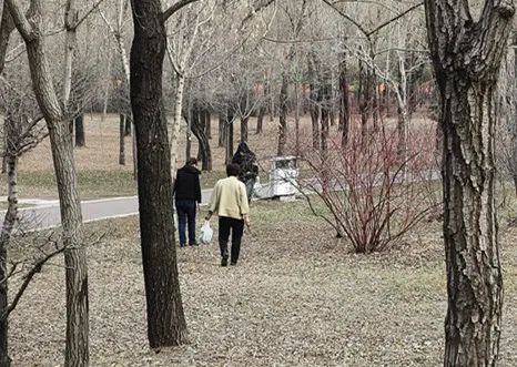 哈尔滨人注意!你挖的婆婆丁,可能“价值”500元… 哈尔滨人注意!你挖的婆婆丁,可能“价值”500元…